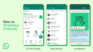 WhatsApp Channels Features