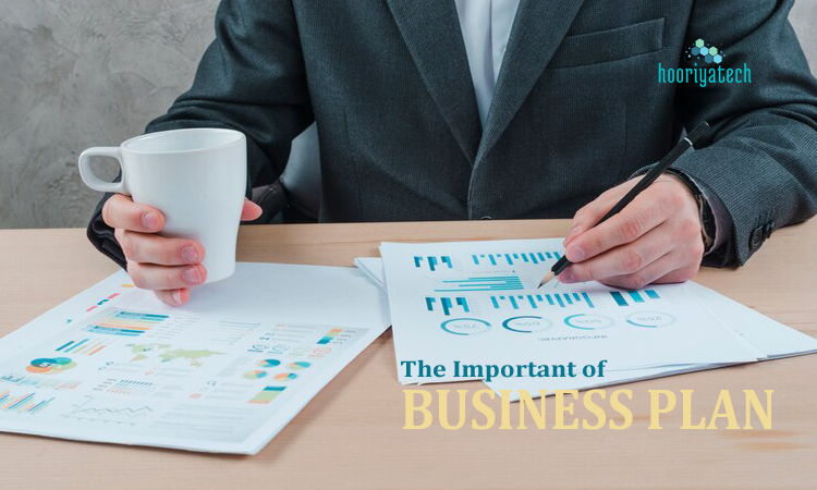 Importance of a Business Plan