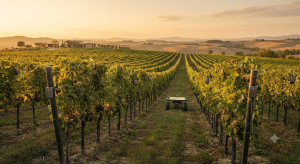 AI technology used in wine production and vineyard monitoring, artificial intelligence news